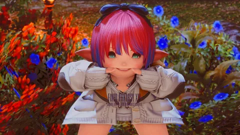 ギャラリー 17枚目
