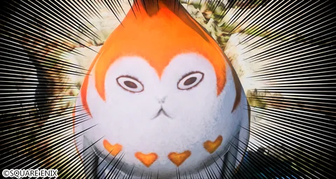 ギャラリー 4枚目
