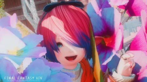 ギャラリー 13枚目