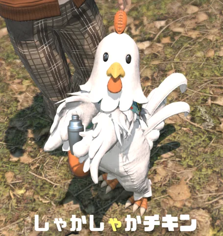 ギャラリー 6枚目