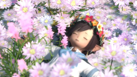 ギャラリー 11枚目