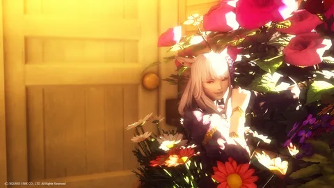 ギャラリー 15枚目