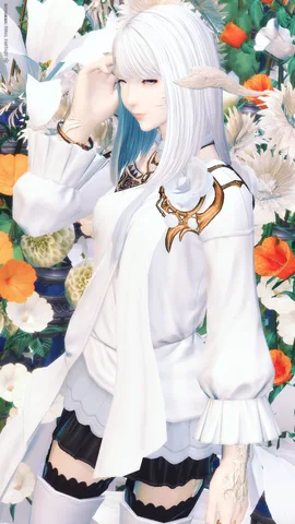 ギャラリー 13枚目