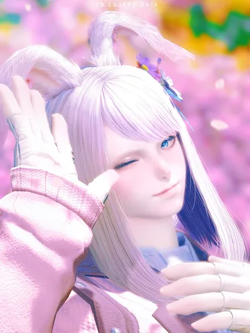 ギャラリー 4枚目