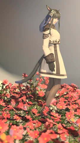 ギャラリー 4枚目