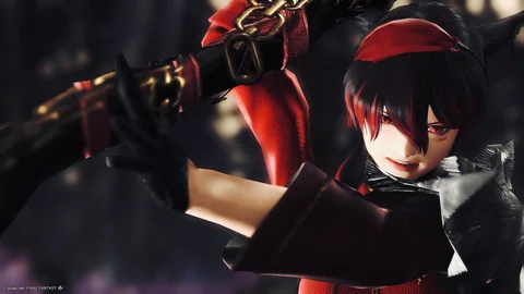 ギャラリー 13枚目