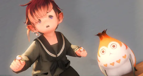 ギャラリー 1枚目