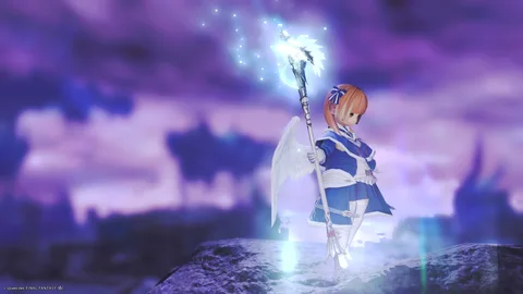 ギャラリー 13枚目
