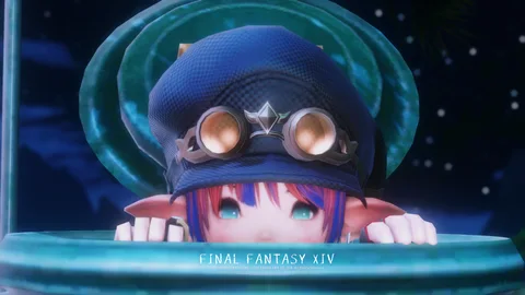 ギャラリー 14枚目