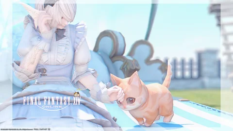 ギャラリー 1枚目