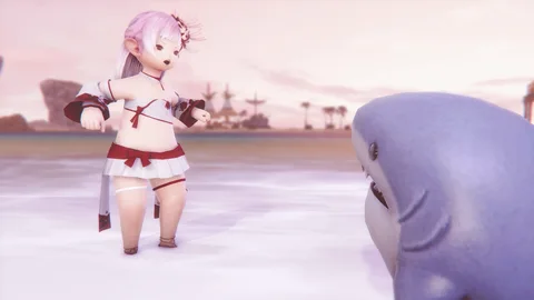ギャラリー 17枚目