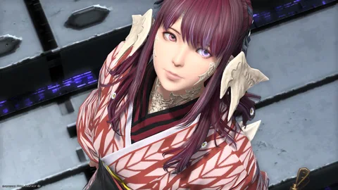 ギャラリー 14枚目