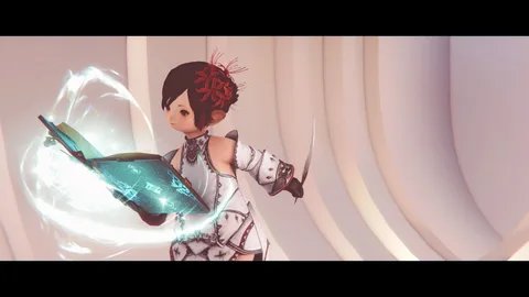 ギャラリー 13枚目