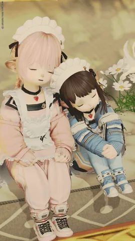 ギャラリー 12枚目