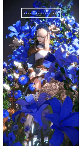 ギャラリー 11枚目