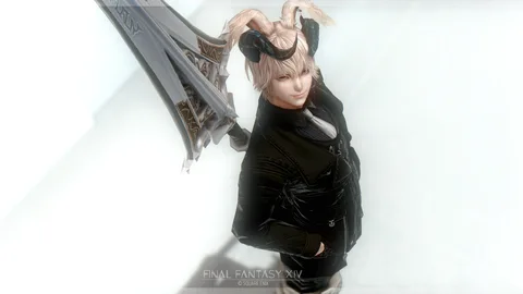 ギャラリー 27枚目