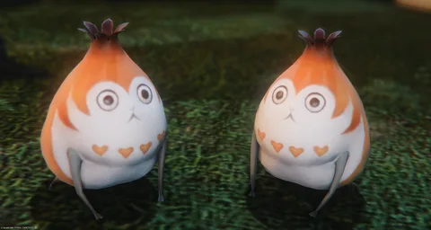 ギャラリー 2枚目