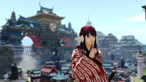 ギャラリー 13枚目