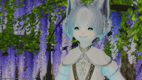 ギャラリー 10枚目