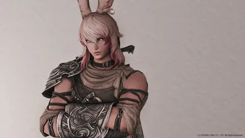 ギャラリー 2枚目