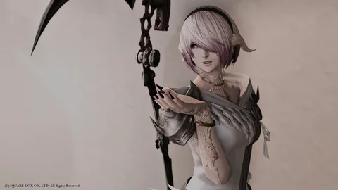ギャラリー 13枚目