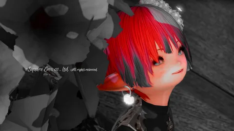 ギャラリー 11枚目