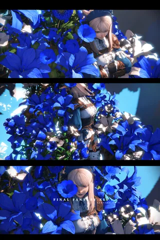 ギャラリー 12枚目