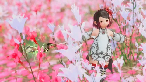 ギャラリー 12枚目
