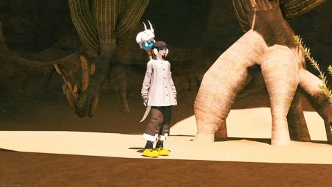 ギャラリー 14枚目
